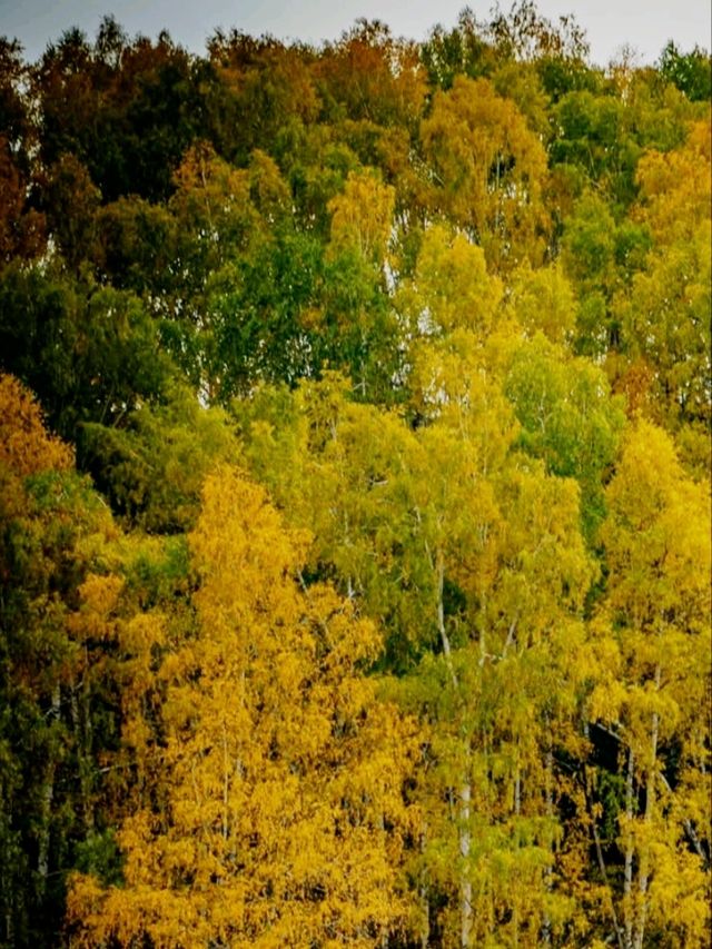 A Kanas Autumn Fairytale