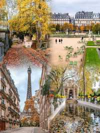 🍂 Paris – Autumn Romance Beneath the Golden Leaves 🇫🇷✨