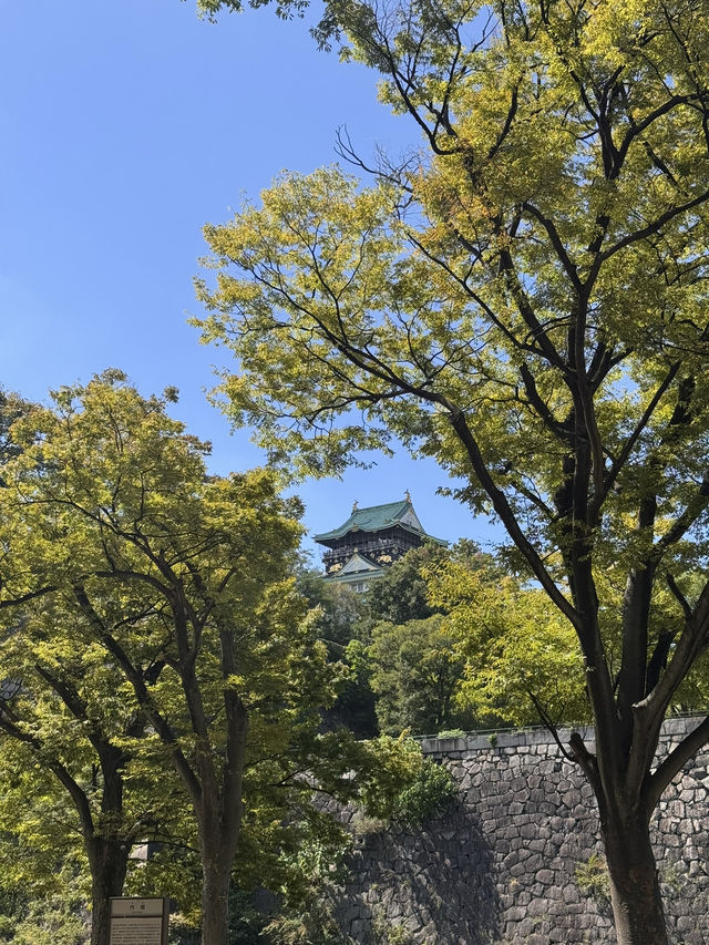 Osaka Castle Magic✨