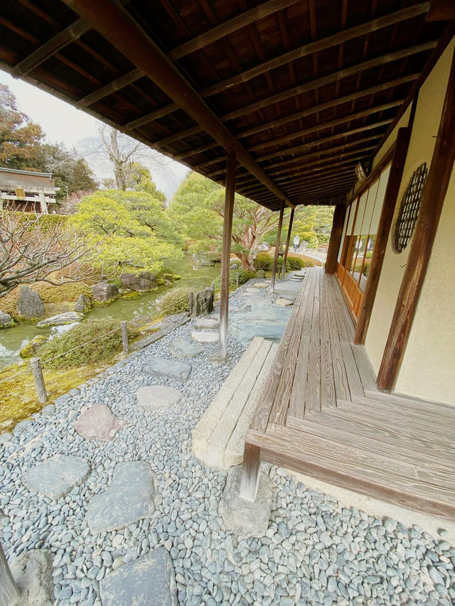 Kyoto's Secret Palette: A Solo Afternoon at Jonan-gu