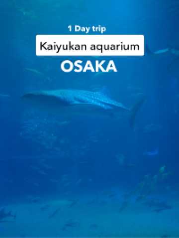 OSAKA : 1 Day trip Kaiyuka aquarium