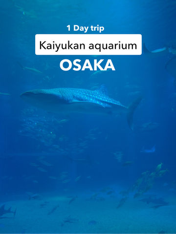 OSAKA : 1 Day trip Kaiyuka aquarium