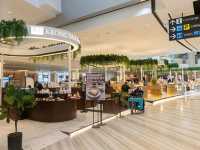 🍽️ Changi Airport: A Global Foodie Destination! 🇸🇬✈️