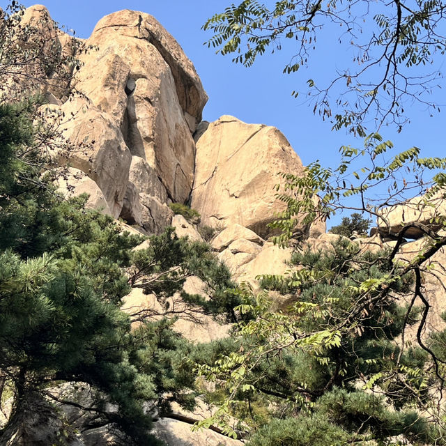 🌄【Laoshan 崂山｜The Sacred Mountain That Defines Qingdao】