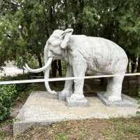 Hushan Park 虎山公园 — The Perfect Stop Between Dai Temple & Mount Tai