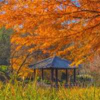 ์ ์ฃผ์๋ชฉ์์ด ์ด๋ ๊ฒ ์ด์๋ค๊ณ ?