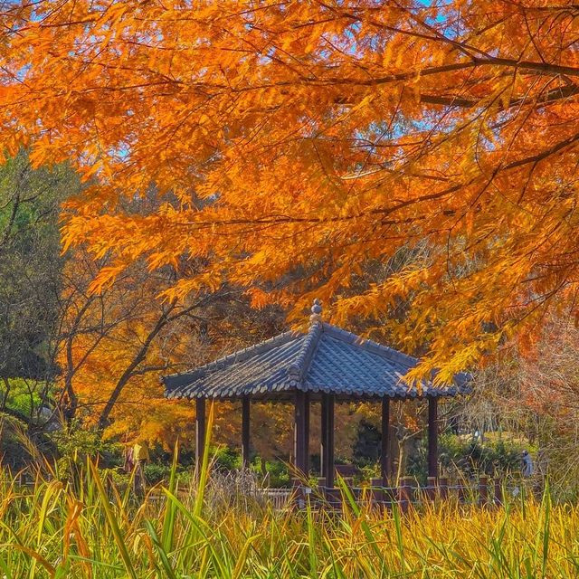 ์ ์ฃผ์๋ชฉ์์ด ์ด๋ ๊ฒ ์ด์๋ค๊ณ ? ์ ์ฃผ์๋ชฉ์์ด ์ด๋ ๊ฒ ์ด์๋ค๊ณ ?