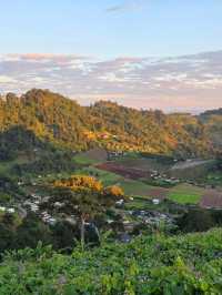 "ผาสามเส้าแคมป์" แม่แตง เชียงใหม่