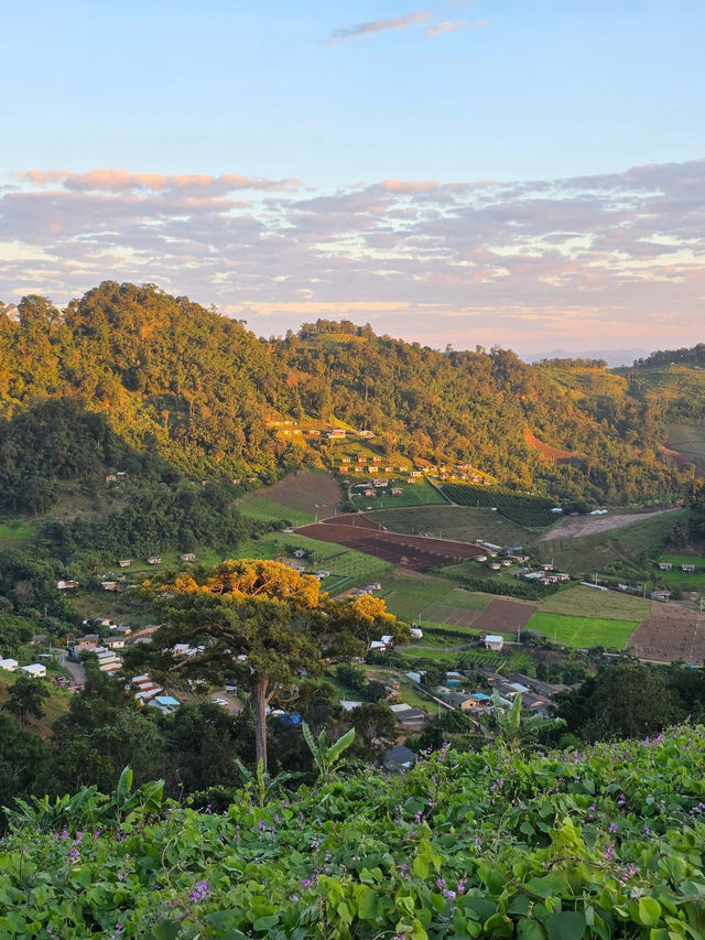 "ผาสามเส้าแคมป์" แม่แตง เชียงใหม่ "ผาสามเส้าแคมป์" แม่แตง เชียงใหม่