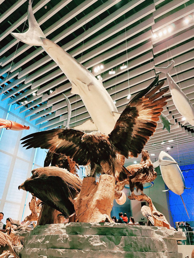 Shanghai Natural History Museum Shanghai Natural History Museum