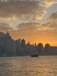 在維港的迪士尼聖誕🎄