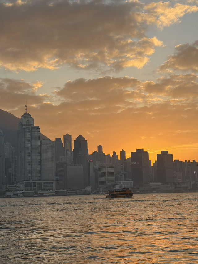 在維港的迪士尼聖誕🎄