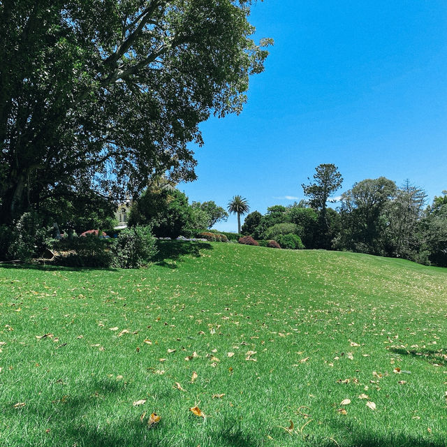 เดินชิลที่ Monte Cecilia Park สูดอากาศดีเต็มปอด