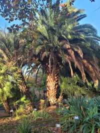 🌳 Public Garden – Jardin Public