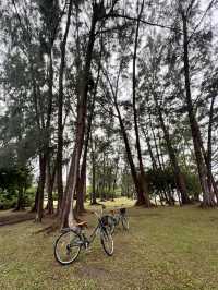 Лагуна - лучший район для проживания с детьми