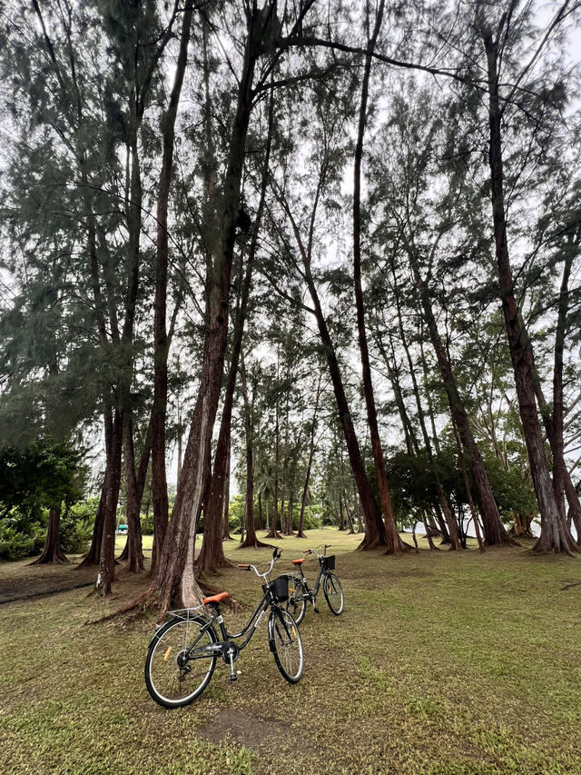 Лагуна - лучший район для проживания с детьми