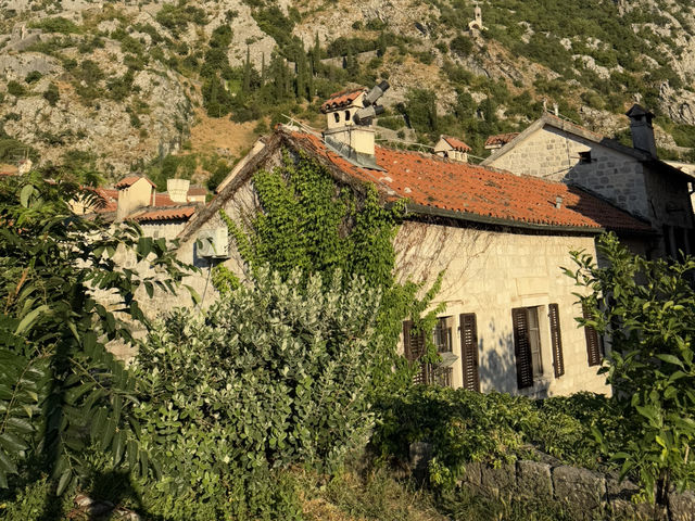 🌊🏰 OLD TOWN KOTOR — MONTENEGRO’S MEDIEVAL TREASURE 🇲🇪✨ 🌊🏰 OLD TOWN KOTOR — MONTENEGRO’S MEDIEVAL TREASURE 🇲🇪✨