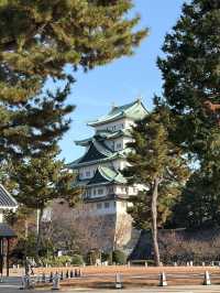 冬日暖陽照亮金鯱:名古屋城聖誕一日遊的奇蹟與浪漫