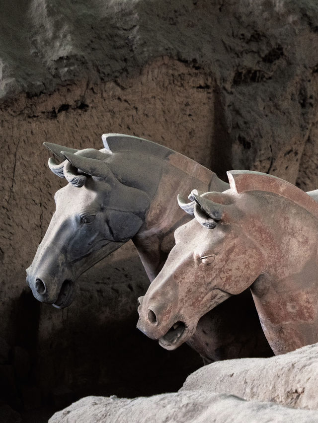 兵馬俑近距離震撼體驗🗿 兵馬俑近距離震撼體驗🗿