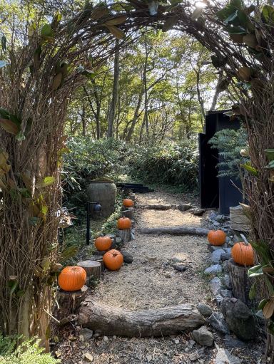 箱根/ニコライバーグマンガーデン🪴】ぜひハロウィン🎃の時期に行って