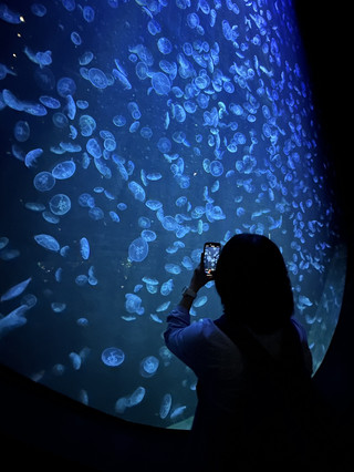 Touch the Sea World🐠🇸🇬