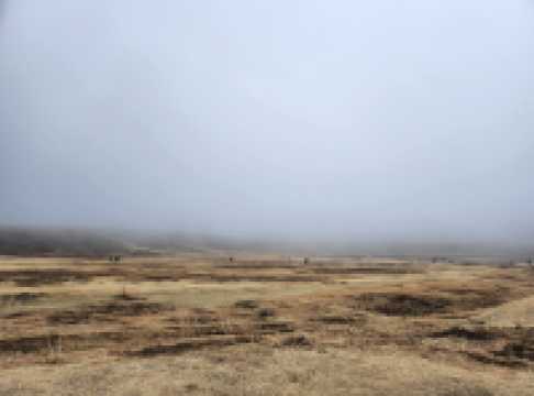 阿蘇火山博物館+阿蘇草千里咖啡廳(牛奶冰淇淋 好好吃)