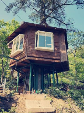 🪵 Climb a tree for an adventure! A super cool "giant treehouse" 🌲 Fulfill your childhood dream