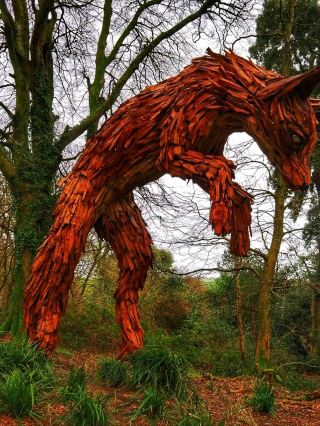 🌿 The Lost Gardens of Heligan – Rediscovered Beauty in Cornwall