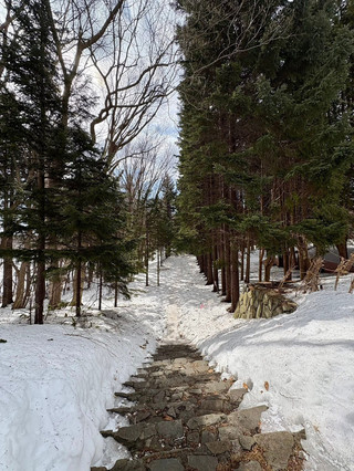札幌五大必遊景點🇯🇵