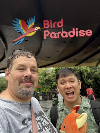 🦜 Escape to Bird Paradise 🦅 