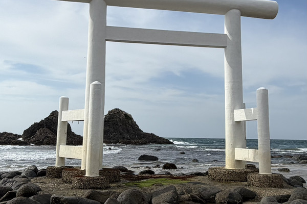 Fukuoka Sightseeing] A Spectacular Torii Gate Drawing Crowds