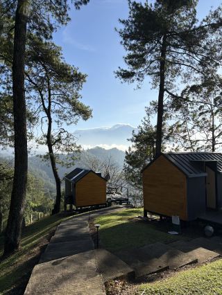 A Staycation in the Heart of the Forest.