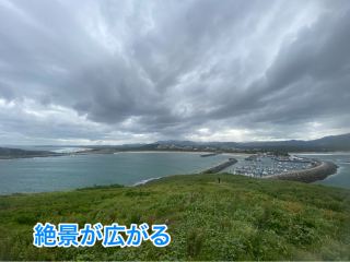 Muttonbird Island Nature Reserve 〜海と野鳥の絶景スポット