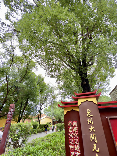 古銅　碁行羅漢像　トヒサ　1227 g 東S8-0609☆2F Quanzhou Kaiyuan Temple: Southern Fujian's Iconic Ancient Temple