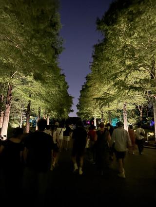 สถานที่ห้ามพลาดชมในยามค่ำคืนที่โอซาก้า! สวนพฤกษศาสตร์ Teamlab Long Residence: ประสบการณ์แสงสีสุดอลังการแบบอินเตอร์แอคทีฟ 🌌