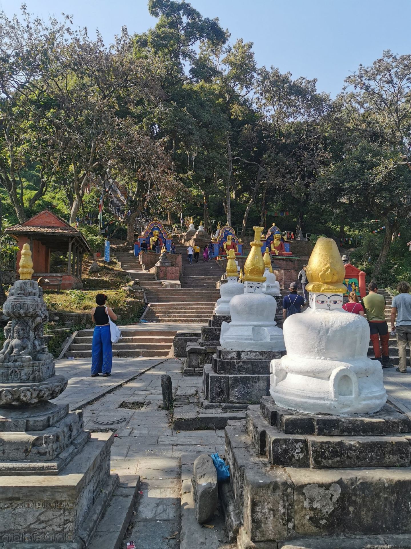 Exploring Swayambhunath: Kathmandu’s Epic Hilltop Temple 🏯✨