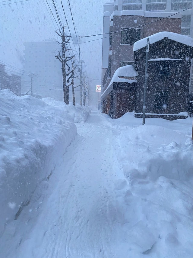 RM2441 Insane ANA Hokkaido Deal: Peak Snow Season! 🎫❄️🇯🇵