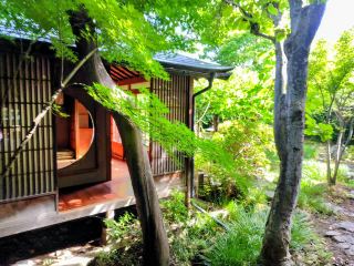 [Autumn in Obuse, Shinshu] Only available for about a month! Head to Obusedo Main Store in search of the legendary chestnut sweet, "Chestnut Dim Sum Suzaku"!