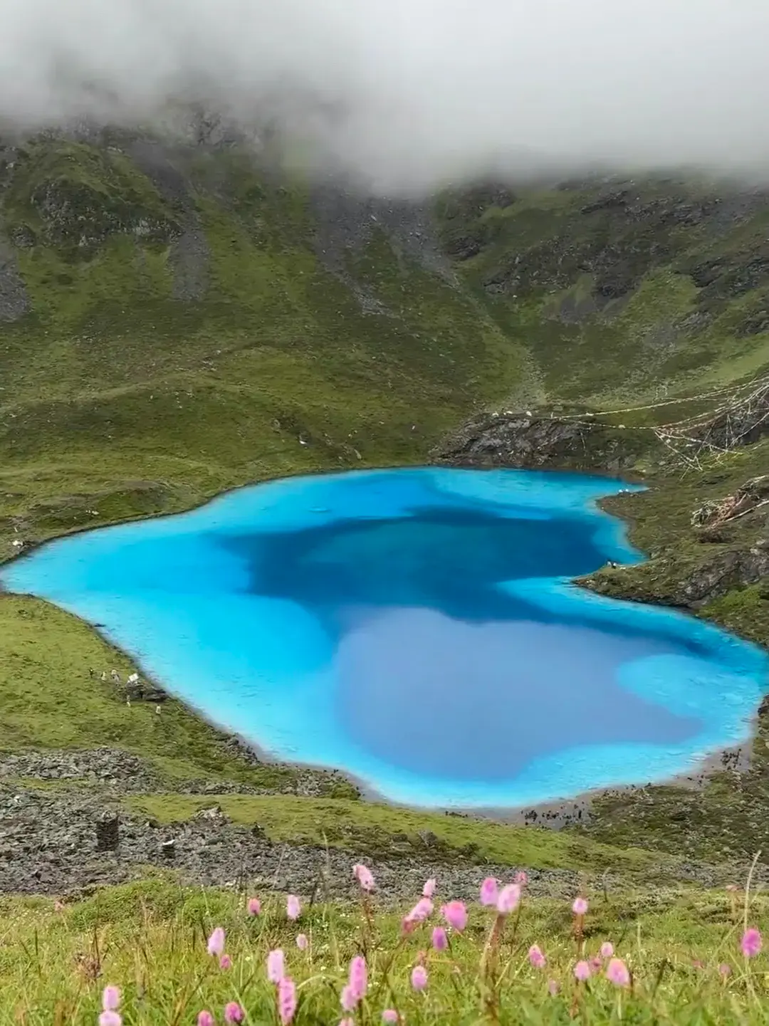 🇨🇳 Guru La Tso Surprised Me — A Hidden Himalayan Lake That Feels Like Another World 🏔️