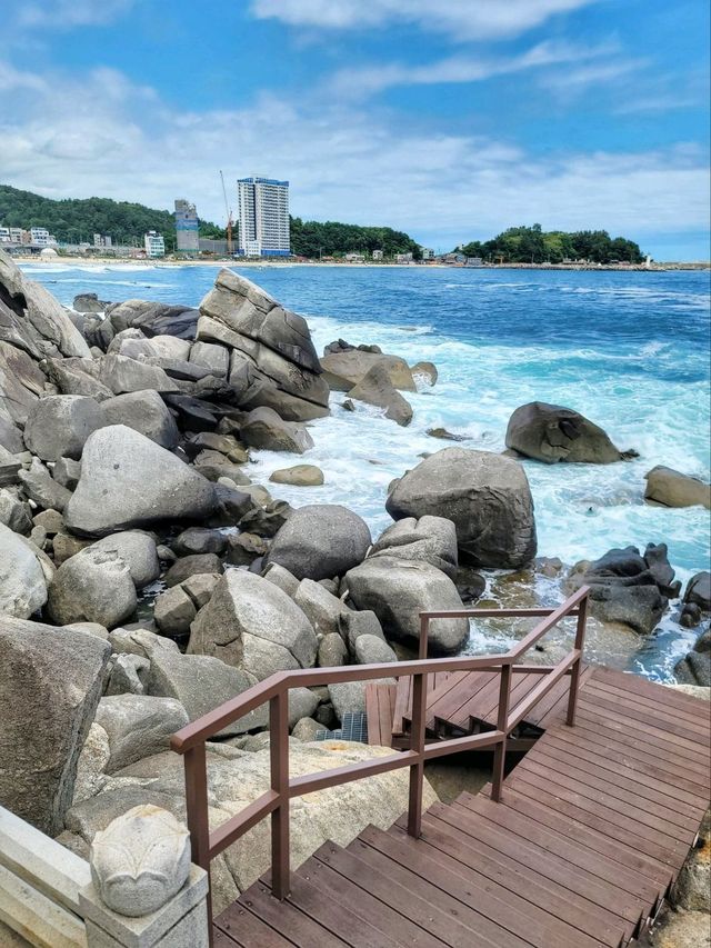 양양의 푸른 바다가 한눈에 펼쳐지는 곳💙