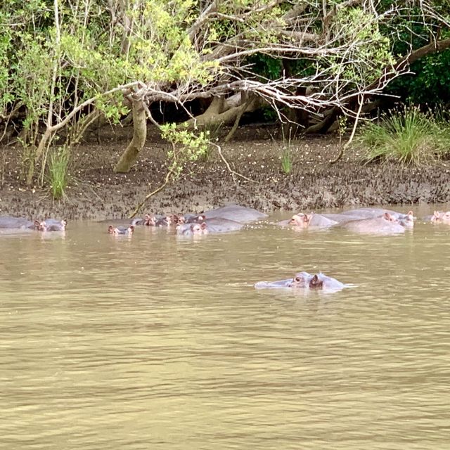 Saadani National Park - Tanzania 