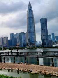 🏙️ 🌆 🌴 Shenzhen Bay Lights 🌴 🌆🏙️