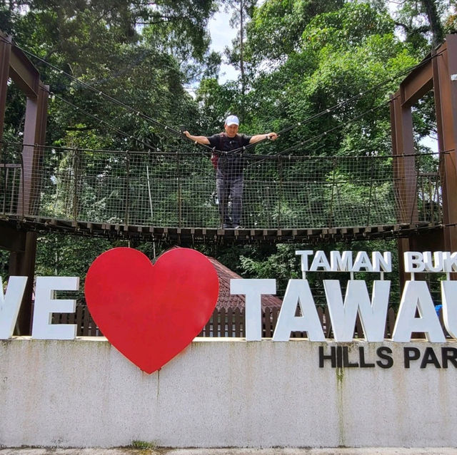 보르네오섬 말레이시아 Tawau Hill Park, 약 90미터 나무를 만나다.