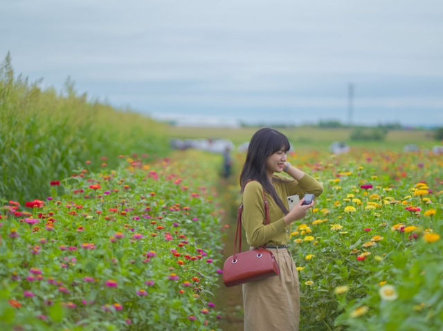 🇨🇦토론토 팜마켓 및 해바라기 꽃밭 탐방하기 - Robintide Farms!🌻