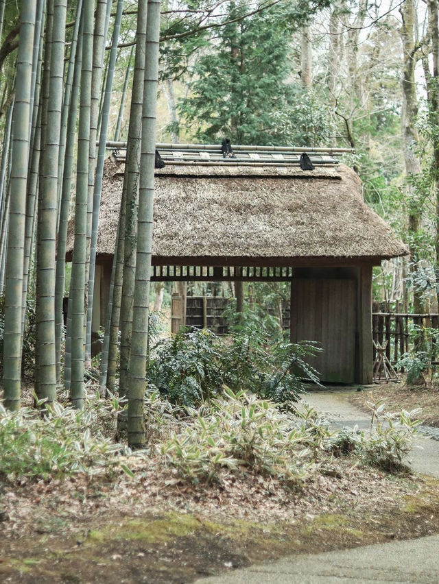 【自然に癒やされるカフェ】あの銘菓を美しい自然と共に味わう🍵