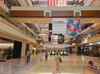 The shopping experience at The Galleria, Houston