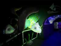 The Shore Oceanarium 
