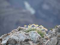 Grand Canyon Day Trip