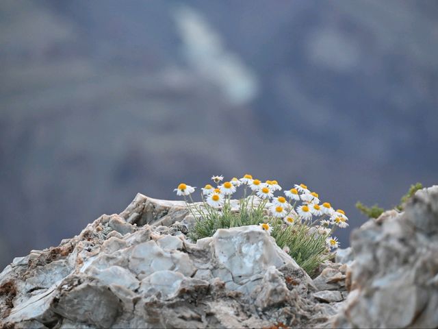 Grand Canyon Day Trip
