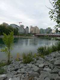 Peace Bridge